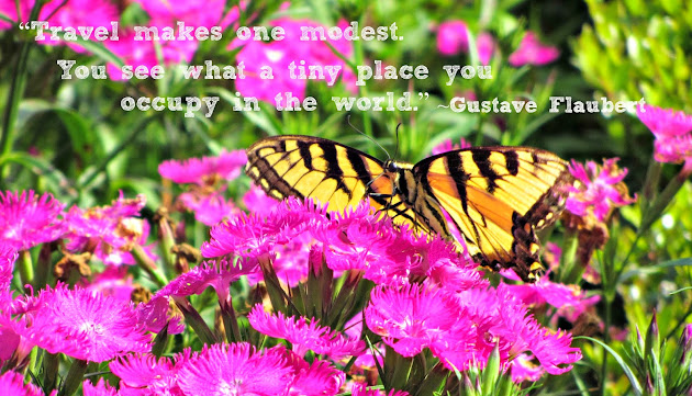 Cover photo