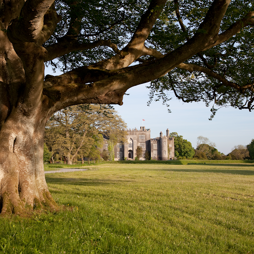 Birr Castle Demesne logo