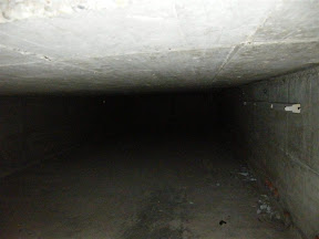 DSCF0979.JPG