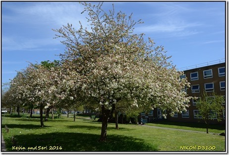 Warwick University - May