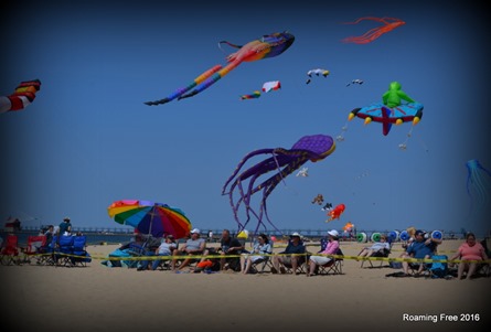 Lots of giant kites in the sky now