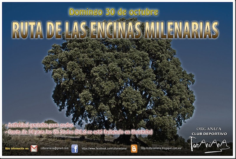 Cartel Ruta de las Encinas Milenarias