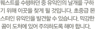 파일:external/s.nx.com/txt8_1.gif