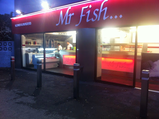 Mr Fish logo