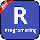 Learn R Programming icon