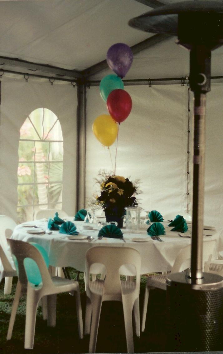 tent, party tent, wedding