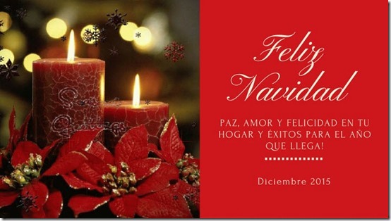 navidad (44)