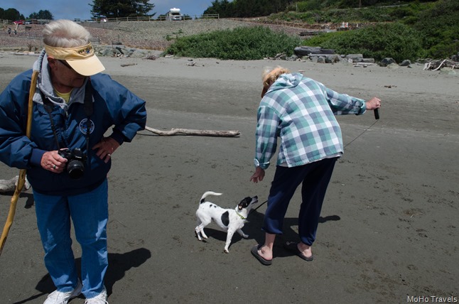 Mattie at the Beach (2 of 22)