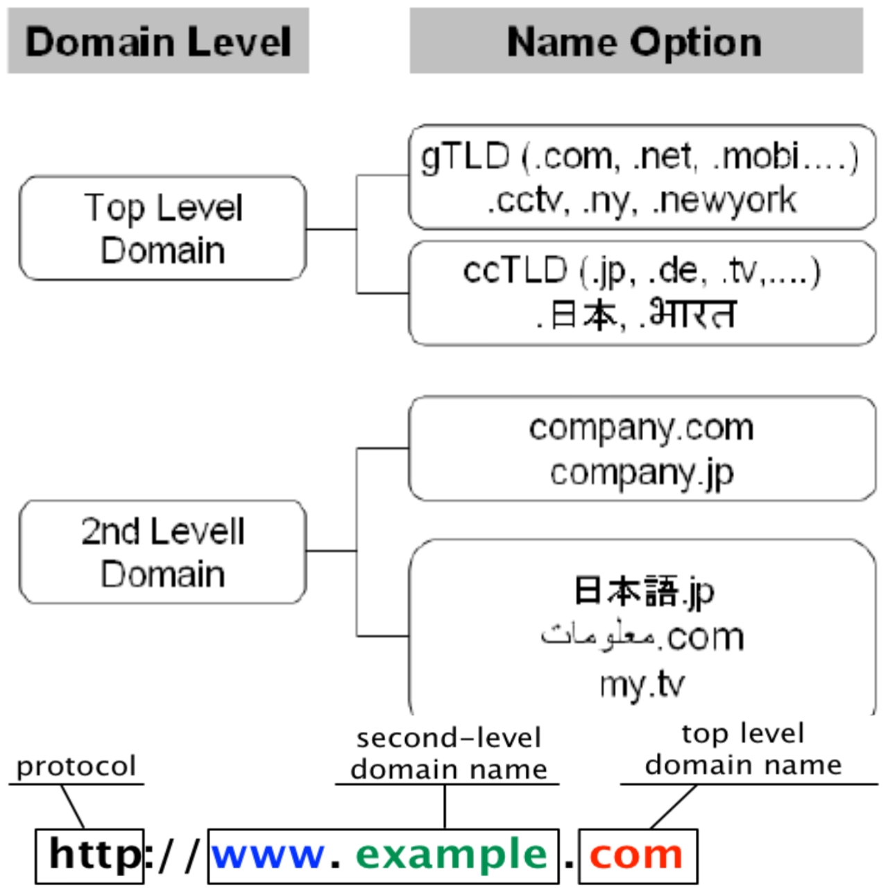 The domain registration hierarchy and WHOIS