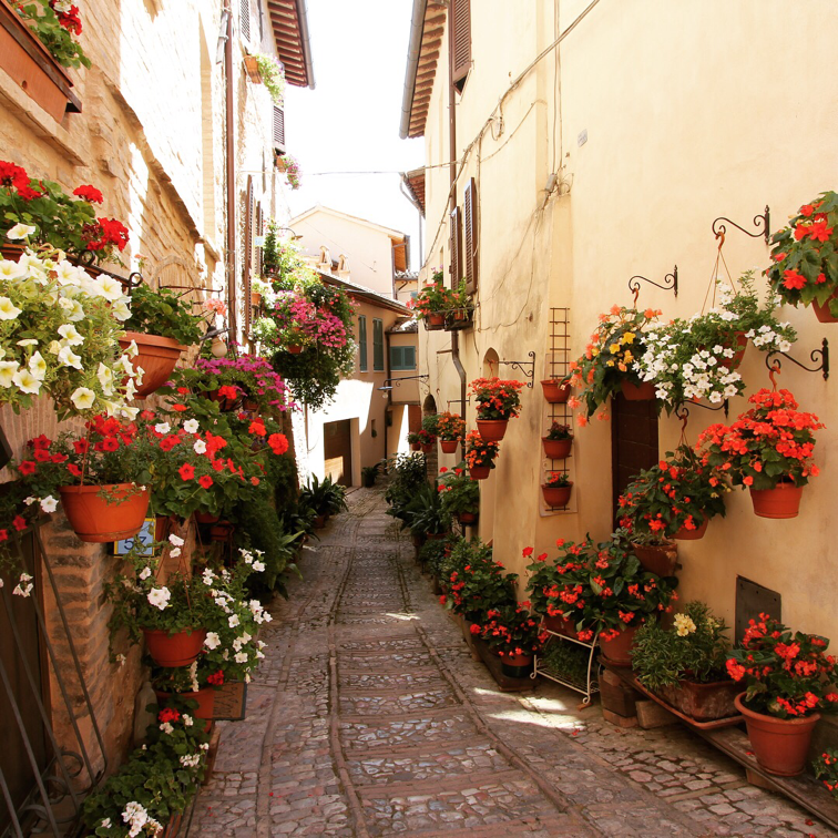 Lilyfield Life: Spello, Italy: Italy's most beautiful town