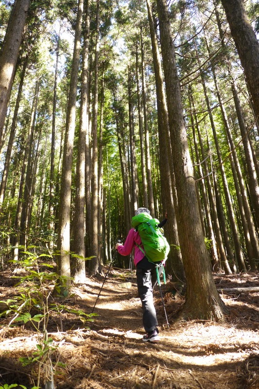 2014_0118 鳶嘴山西北稜→大崠山來回_018