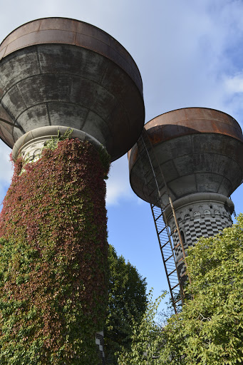Cogels Osylei