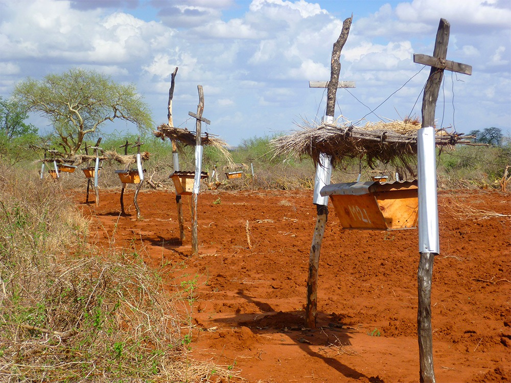 beehive-fence-4