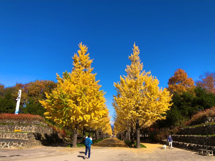 の投稿画像4枚目