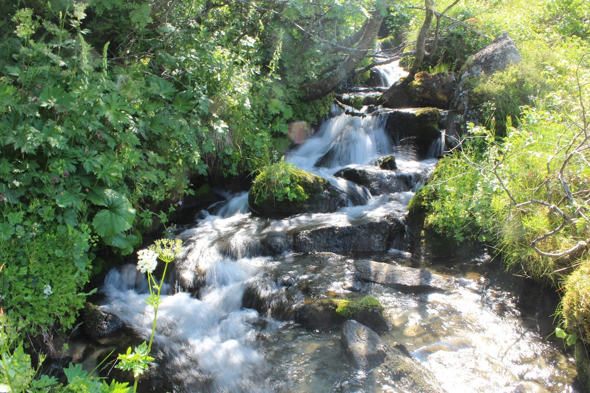 L'étang de Batouxiade dans la vallée d'Orlu IMG_4001