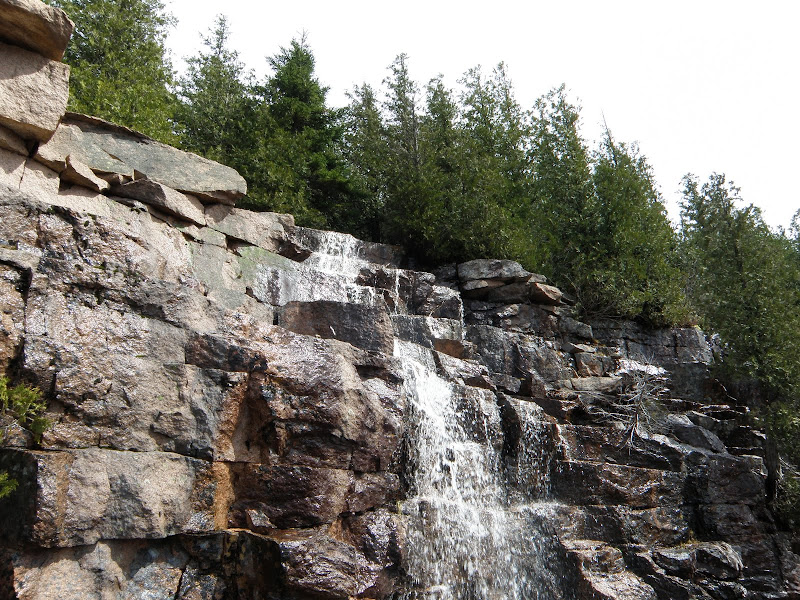 P4296136.JPG