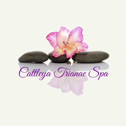 Cattleya Trianae Spa logo