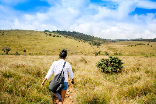 Travel Every day - mile with a smile