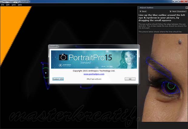 portrait professional 11 download torent