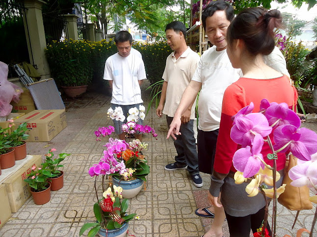 Hoa Xuân Qyúi Tỵ DSC06176