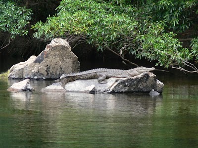 Photos of Tony's Tropical Tours