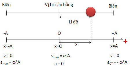 Chương I: Bài tập dao động điều hòa cơ bản