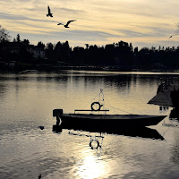 Riflessi sul fiume di 