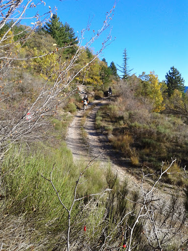 Entre Baronnies, Lure et Ventoux - Page 11 Photo-0017