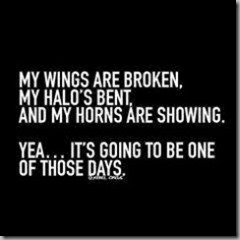 wings broken