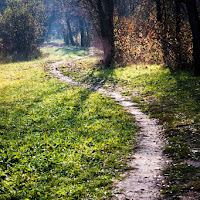 Sentiero autunnale di 