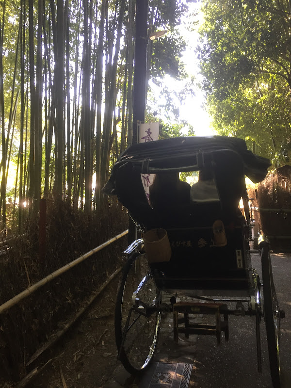 京都　嵐山　竹林