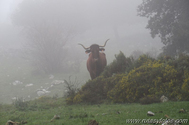 Benaocaz - Mitano - Casa de Fardela - Pajaruco