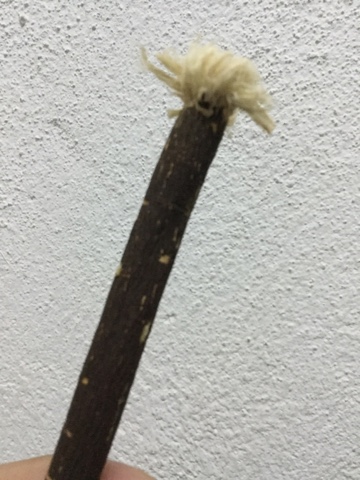 Ubat Gigi Miswak - Pertanyaan l