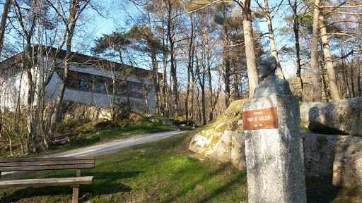 Ivar Sælen Statue