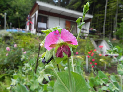 DSCN0561.JPG