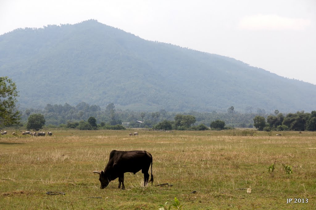 Samui%2520rural%25201%2520Feb%252025%252
