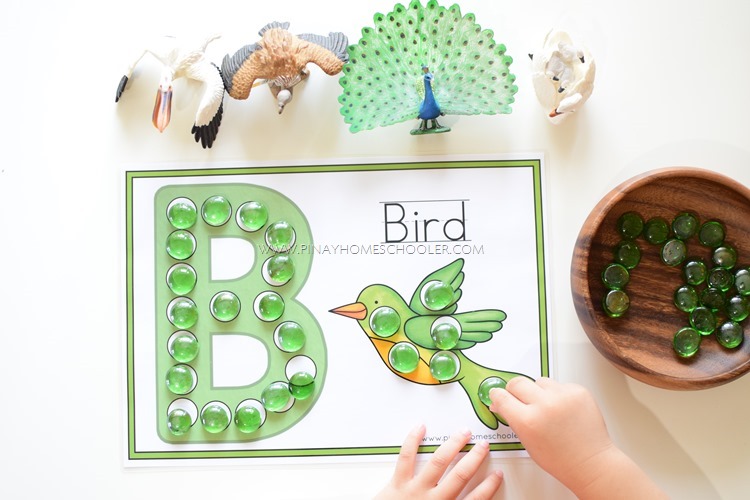 FREE Letter B Dot and Tracing Activity Sheets