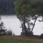 20150829_Fishing_Zalybivka_009.jpg