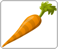 คำศัพท์ภาษาอังกฤษ_carrot_Vegetable