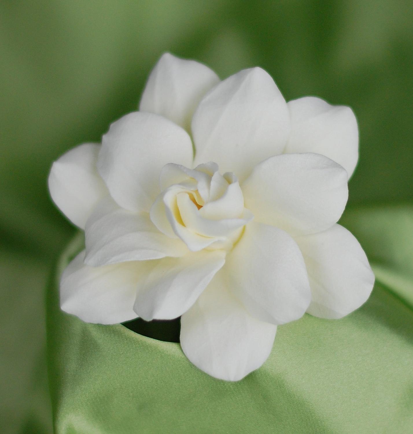 Gardenia Bridal Hair Pin