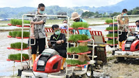 Mentan SYL Apresiasi Kerja Keras Petani Lakukan Percepatan Tanam Di Maros