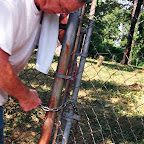 Click to Expand Owen places a lock on the gate that is supposed to not rust. Cost $13.00 bucks!