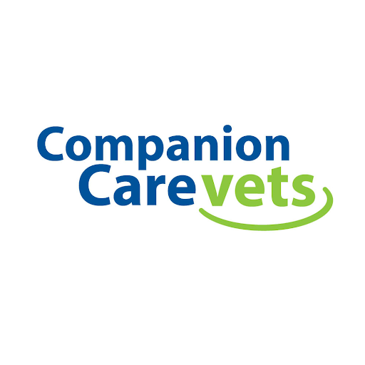 Companion Care - Croydon logo