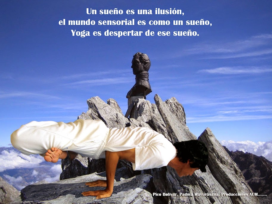 Pavorreal. Pico Bolívar. Yoga AUM