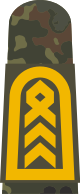 파일:external/upload.wikimedia.org/80px-MA_OG5_35_Oberstabsbootsmann.svg.png