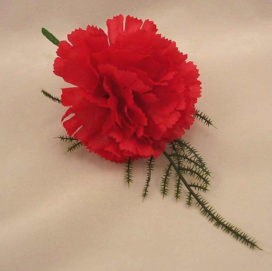 Red Carnation Fern Buttonhole