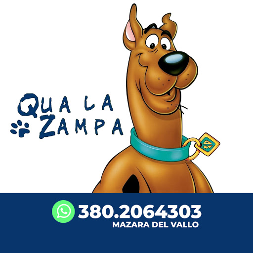 Qua la Zampa