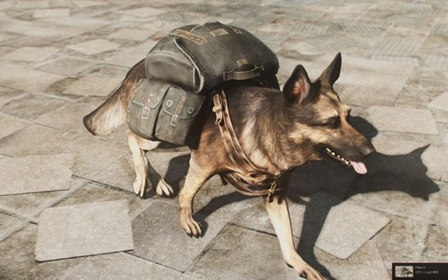 mods of the week 29022016 01 dogmeat