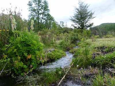 Photos of Camping Chachin