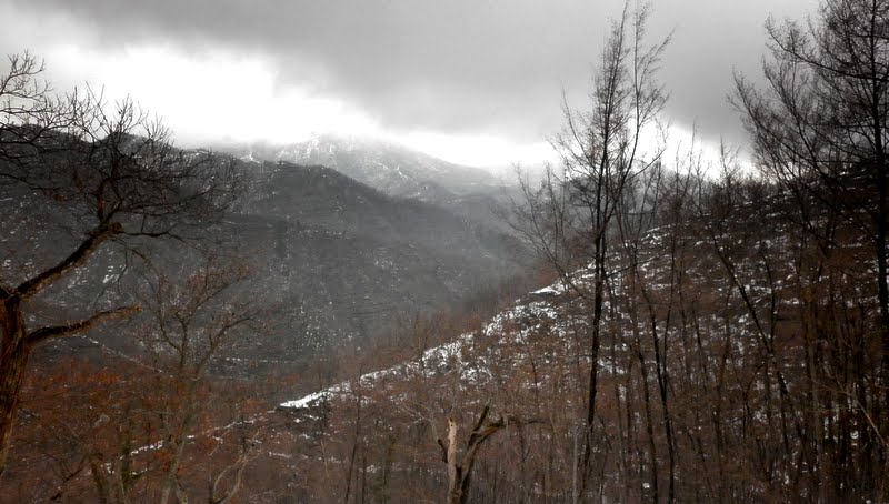 P1000238.JPG